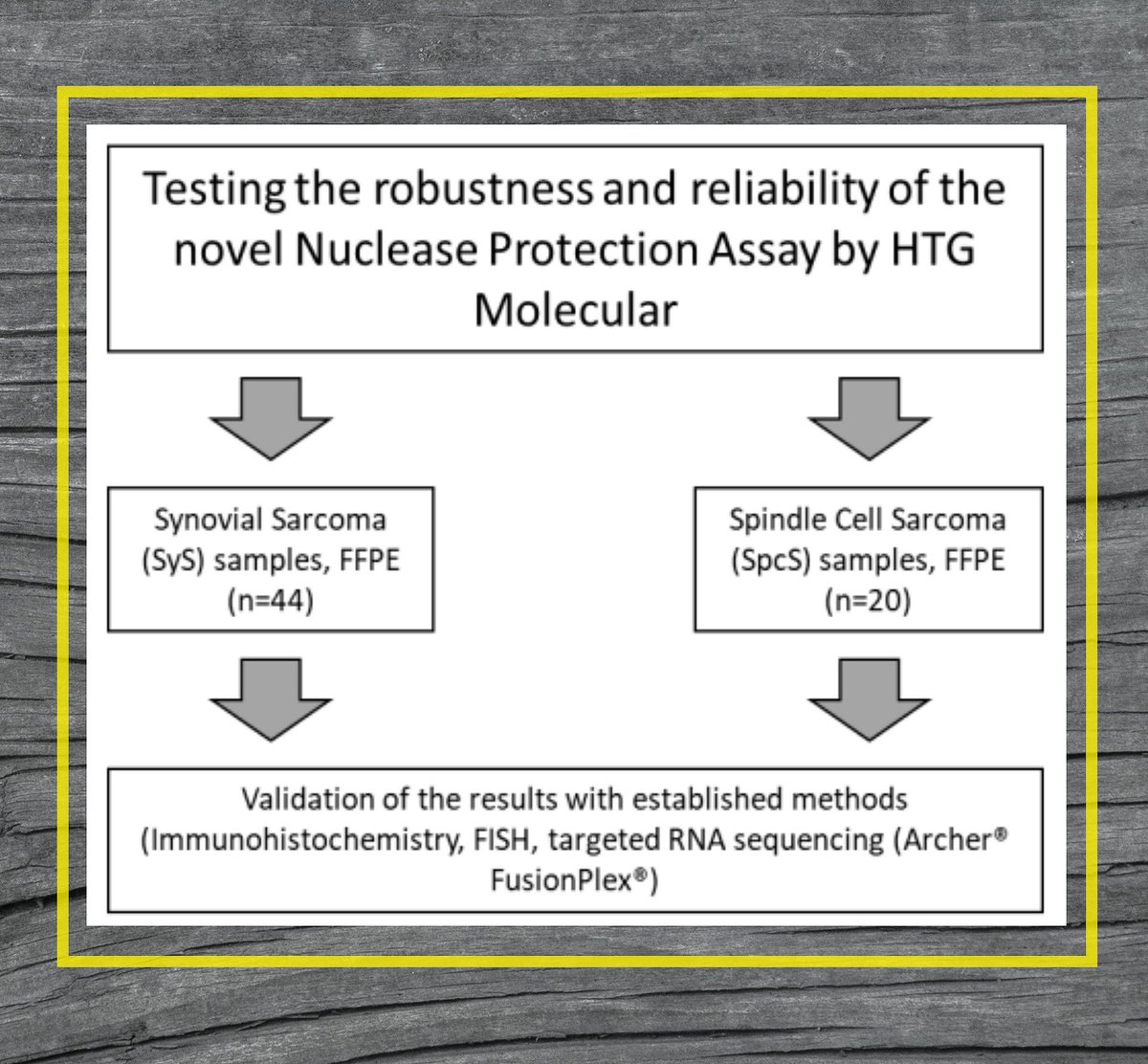 HTGMolecular's tweet photo. HTG Transcriptome Panel "has proven to be a very robust method for the search of biomarkers, especially in limited tumor material", stated the researchers in their recent publication. Read the article here https://t.co/DYWBJ8R7Dz #sarcoma #geneexpressionprofiling #BulkRNA https://t.co/OhBfvwr5xD