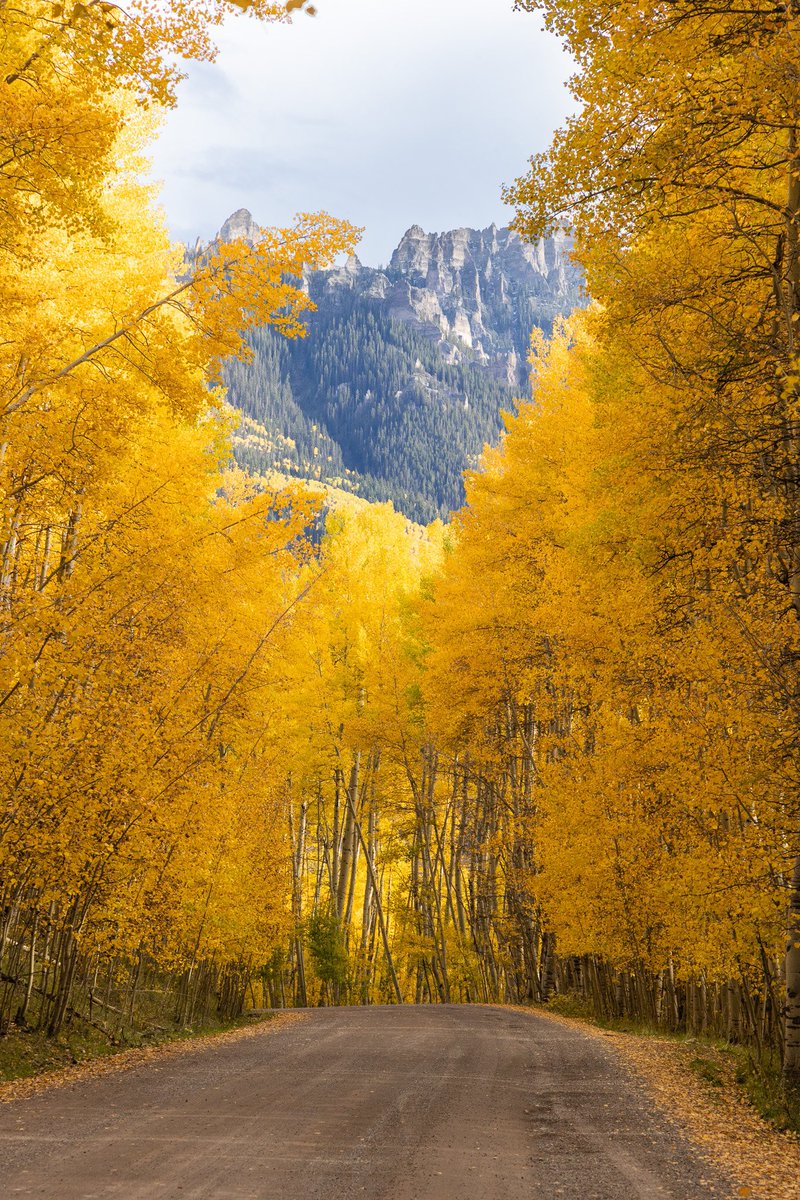 HeyNat's tweet photo. Gm
#pixelmate #colorado #travelusa #ไปเที่ยวอเมริกา #coloradoautumn https://t.co/iDoqjEcezx