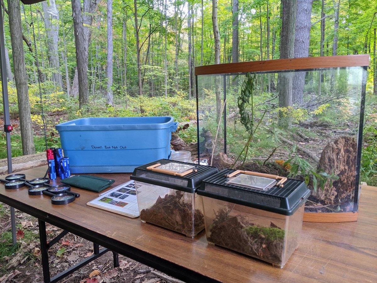 Dan Arppe tweet media