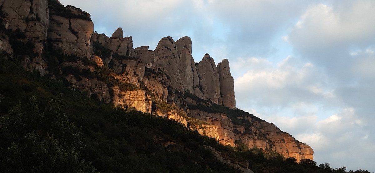 frederic fosalba julià tweet media
