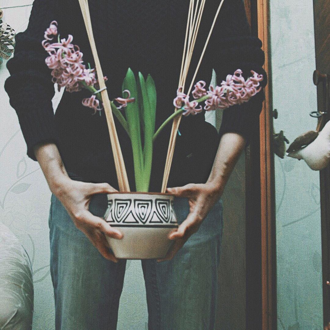 It was spring. {hyacinth, flowers, plants, hands, slowlife, blossom}