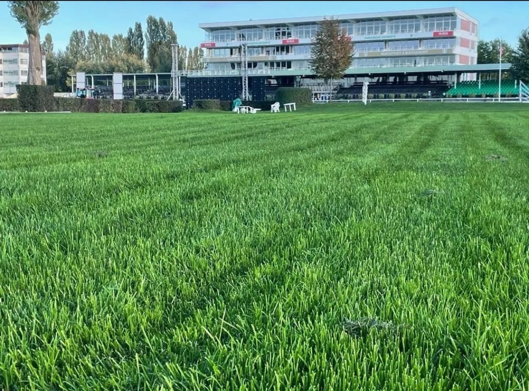 VELKA PARDUBICE preview now available DM me 🐎🇨🇿