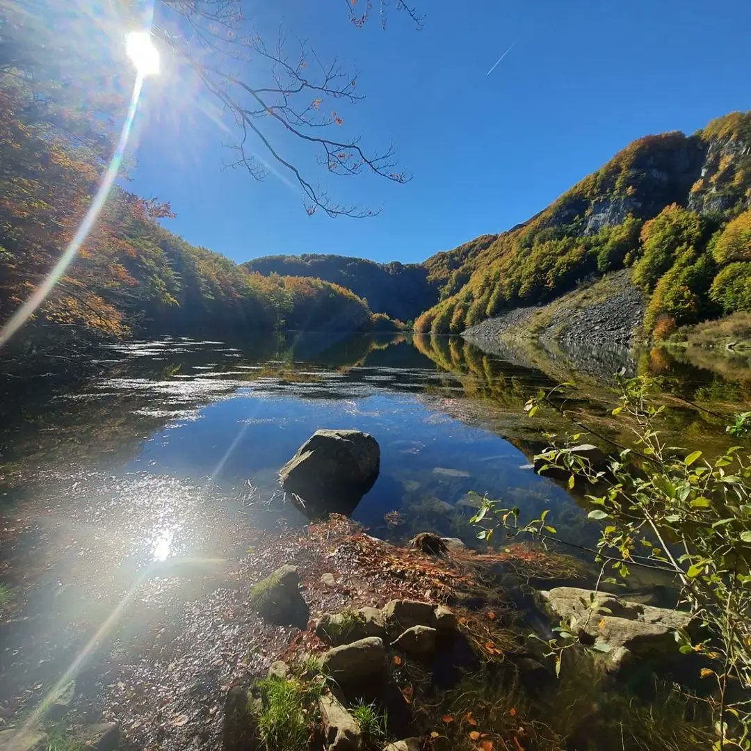 ModenaDintorni's tweet photo. Siete pronti ad immergervi nei fantastici colori autunnali? 😍

Qui ci troviamo sulle sponde del #LagoSantoModenese, che in questo periodo si trasforma in un dipinto ricco di bellezza! 🍂

Ph adeoli1011 | Via #modenaedintorni https://t.co/jKva9q9x2w