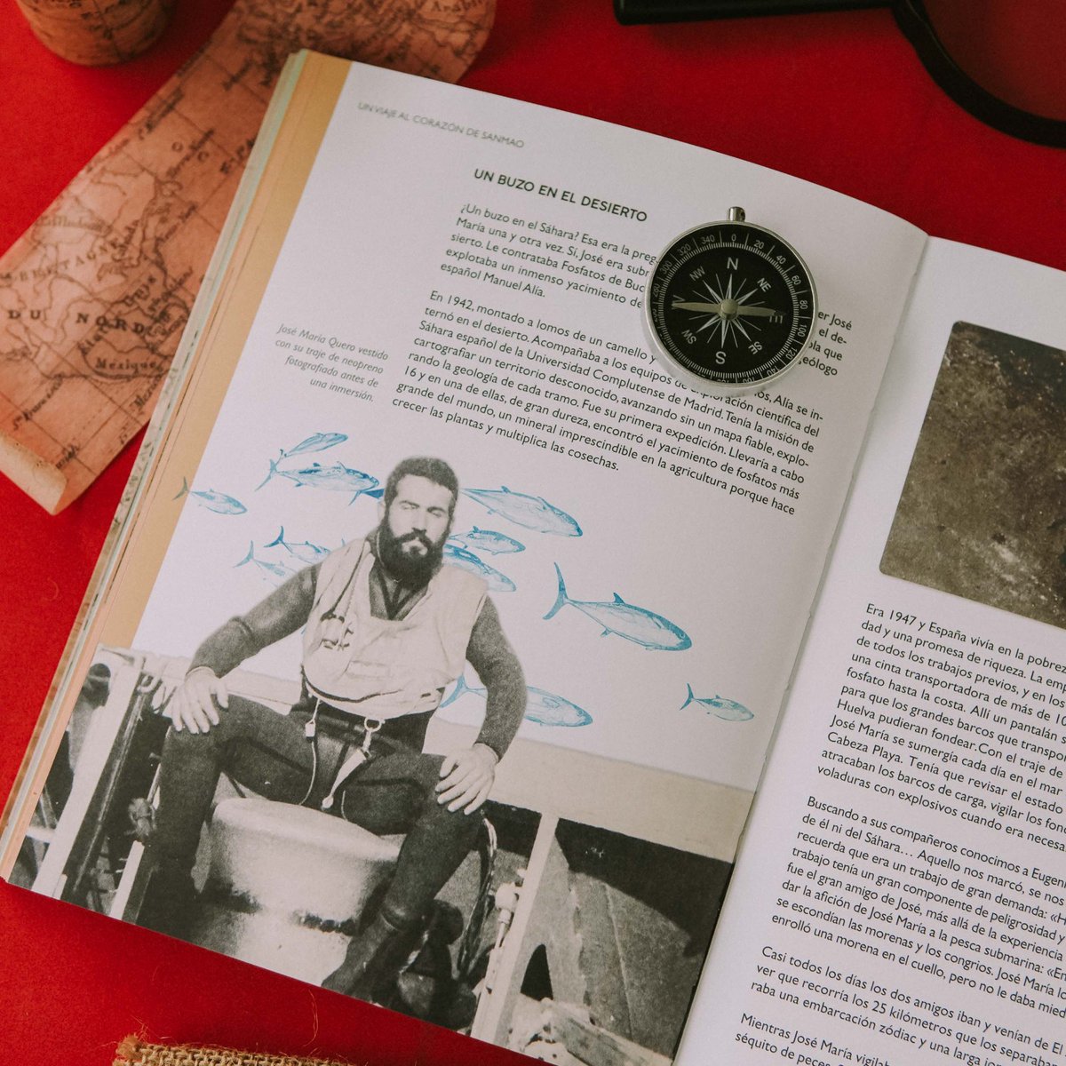 Ana__Perez_'s tweet image. "Un viaje al corazón de Sanmao" ya en todas las principales librerías junto a la editorial 
Algunas páginas del libro:
fnac.es/a9638954/Ana-P…
casadellibro.com/libro-un-viaje…

#Sanmao #UnViajeAlCorazonDeSanmao