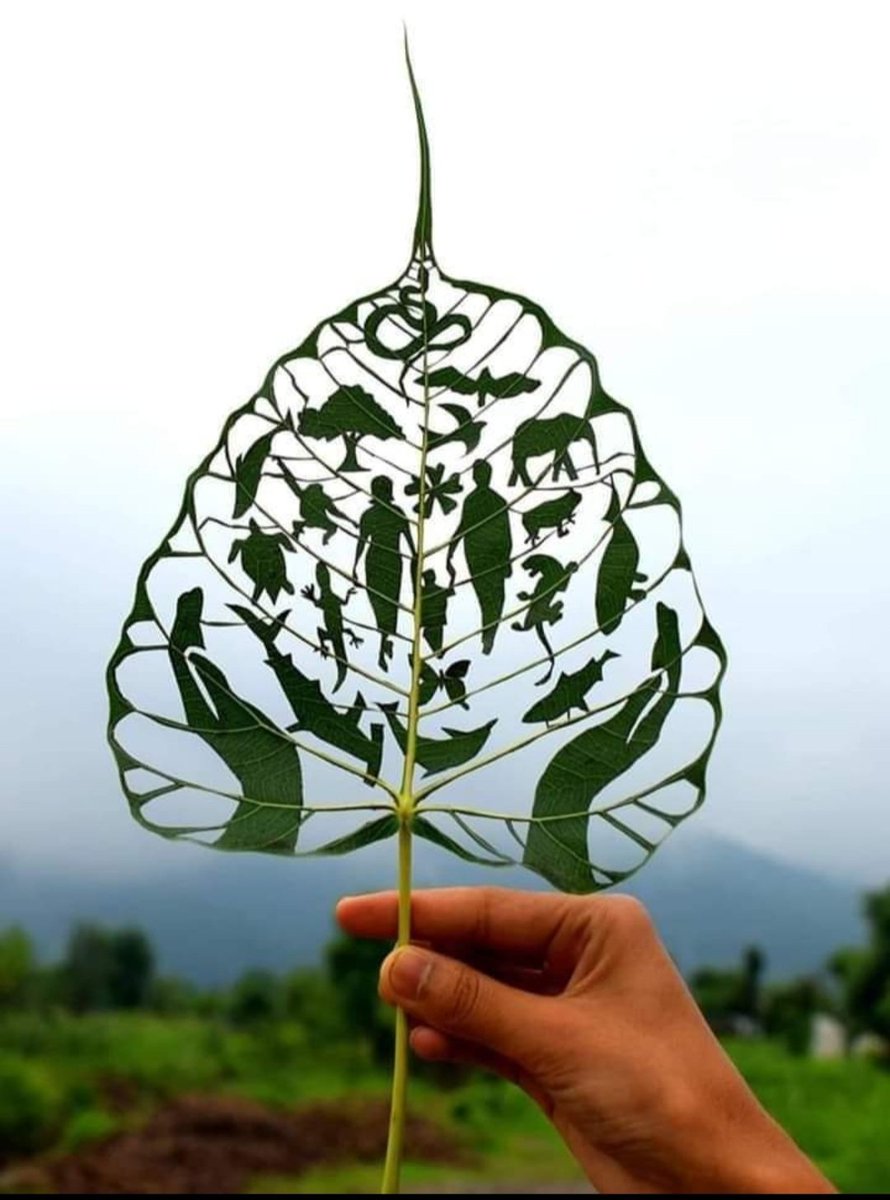ideepaksharma86's tweet photo. There is no coexistence, but only existence, for coexistence implies a life of separation. What the world needs is a wholesome life, one that exists in the nameless land of heartnation #Naskar
#sustainability #ecological
@sfdvoice @sfdhimachal @iRahulgaur9 https://t.co/68eyJW6wy9