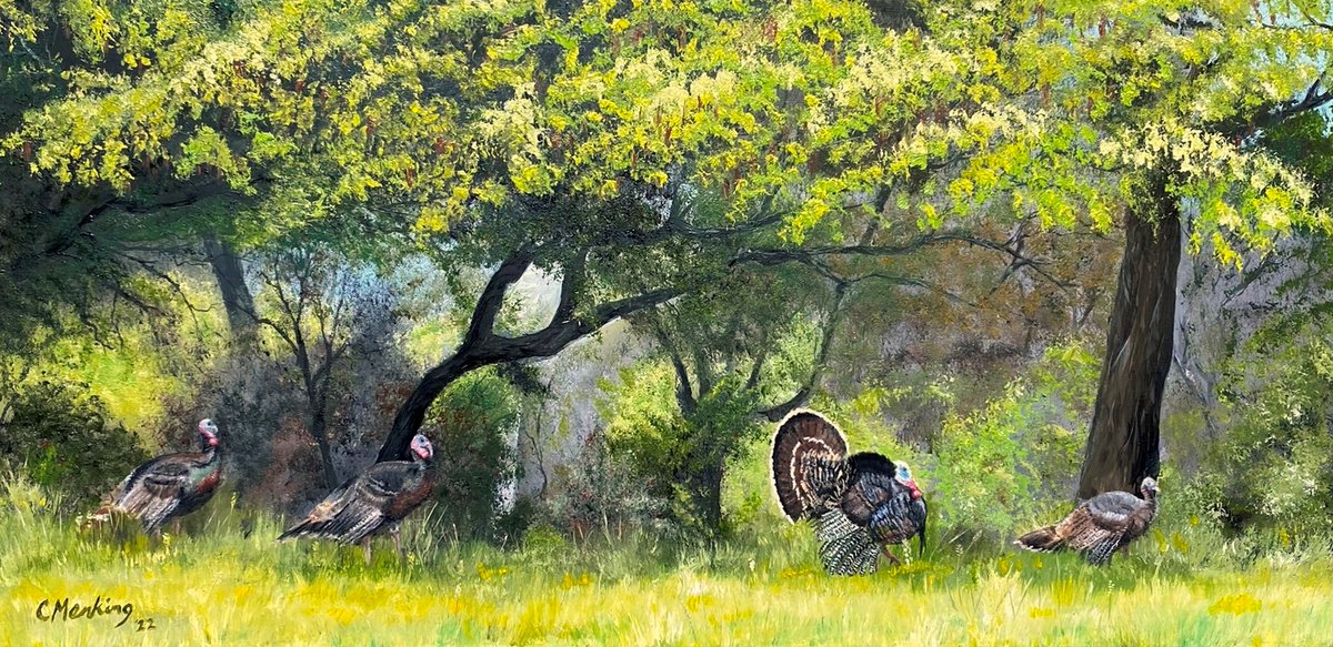 cornellmenking's tweet photo. Recent paining of some spring turkeys near our house.  Now we're seeing the fall turkey activity. https://t.co/IrdIPYzme6