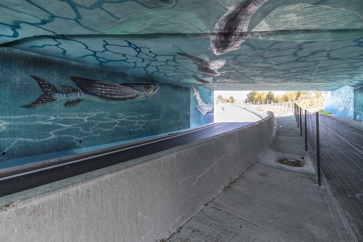 A480-Rondeau tweet media