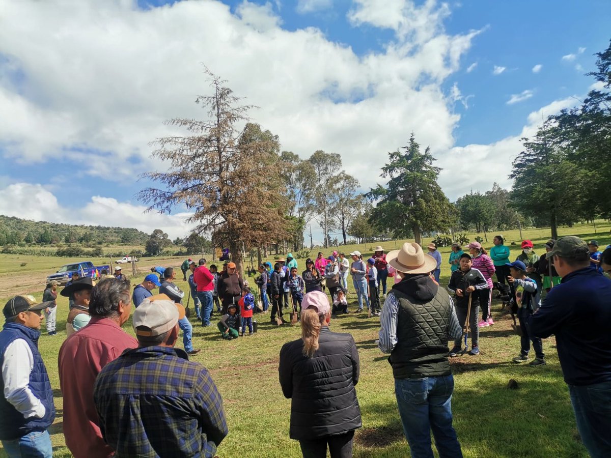 Probosque_'s tweet photo. Personal de #Probosque en coordinación con autoridades de la @CampoEdomex e integrantes de la comunidad estudiantil de la escuela primaria Miguel Hidalgo, de la comunidad El Rodeo, en #Temascalcingo, realizaron una jornada de #Reforestación2022.

#EquipoSeCampo https://t.co/T0N4SNZCIy