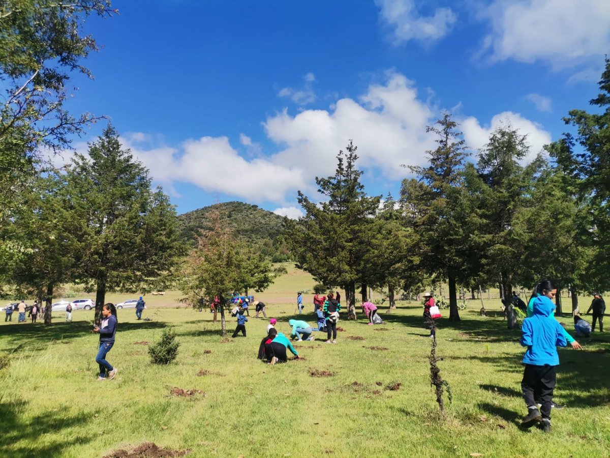 Probosque_'s tweet photo. Personal de #Probosque en coordinación con autoridades de la @CampoEdomex e integrantes de la comunidad estudiantil de la escuela primaria Miguel Hidalgo, de la comunidad El Rodeo, en #Temascalcingo, realizaron una jornada de #Reforestación2022.

#EquipoSeCampo https://t.co/T0N4SNZCIy