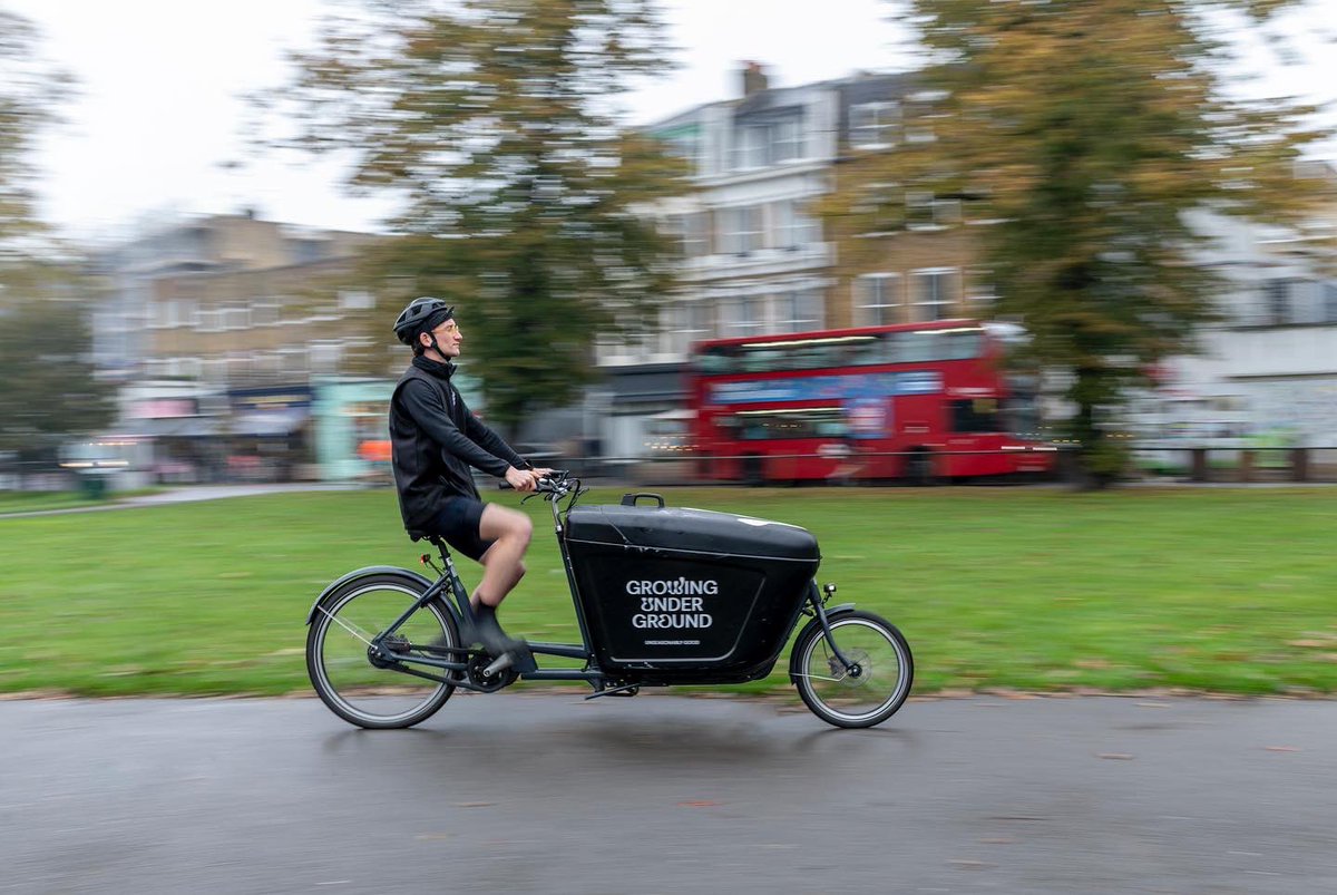 Growing Underground tweet media