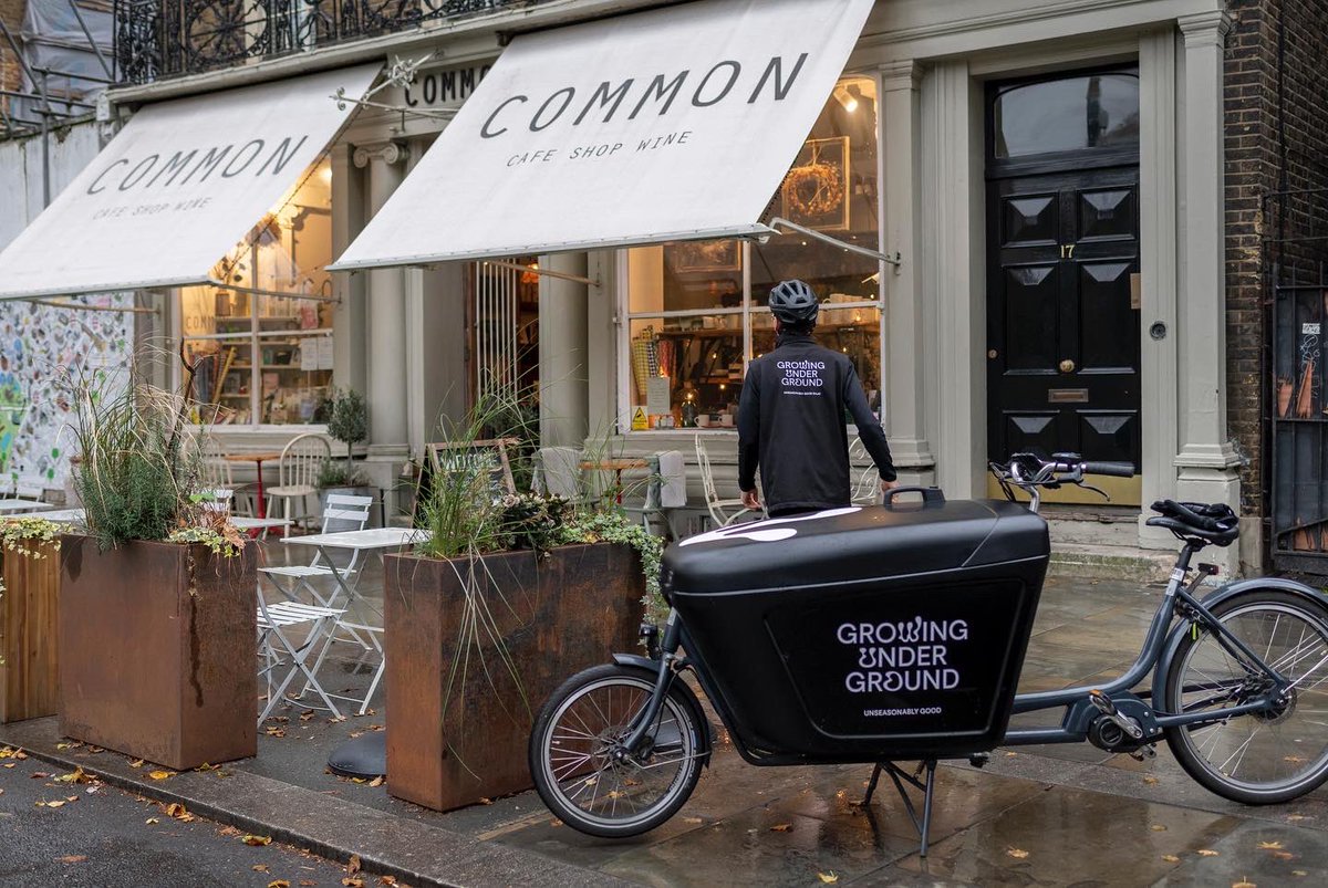 Growing Underground tweet media