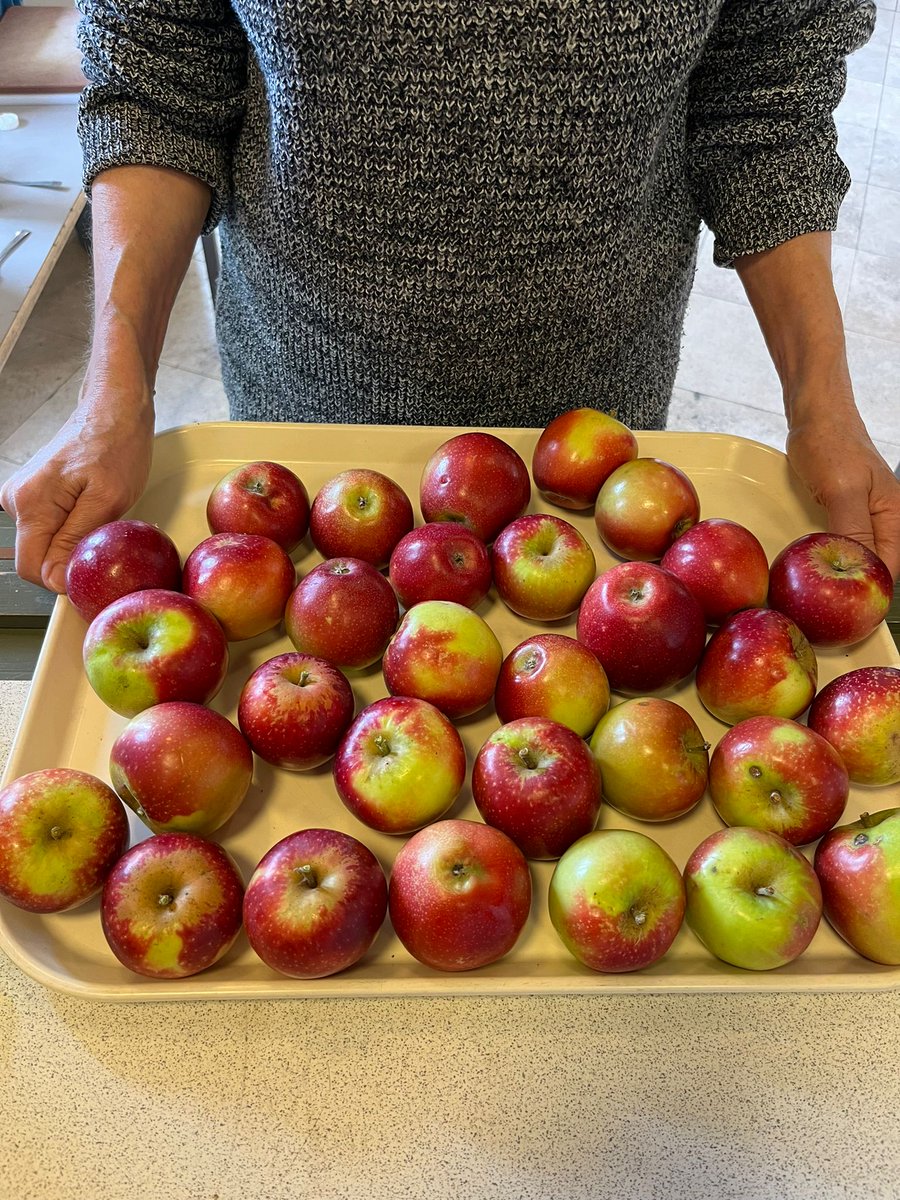 stjohnskitchen's tweet photo. Reasons to be cheerful for us this week are 123😊

1 We received a donation of delicious apples! Crunch crunch.

2 We were sent gorgeous brownies with lovely notes by #volunteers - yum.

3 Our new fridge is full of @CityHarvest_LDN produce to make dinner for our guests, yee ha! https://t.co/IP4eNxtMBD