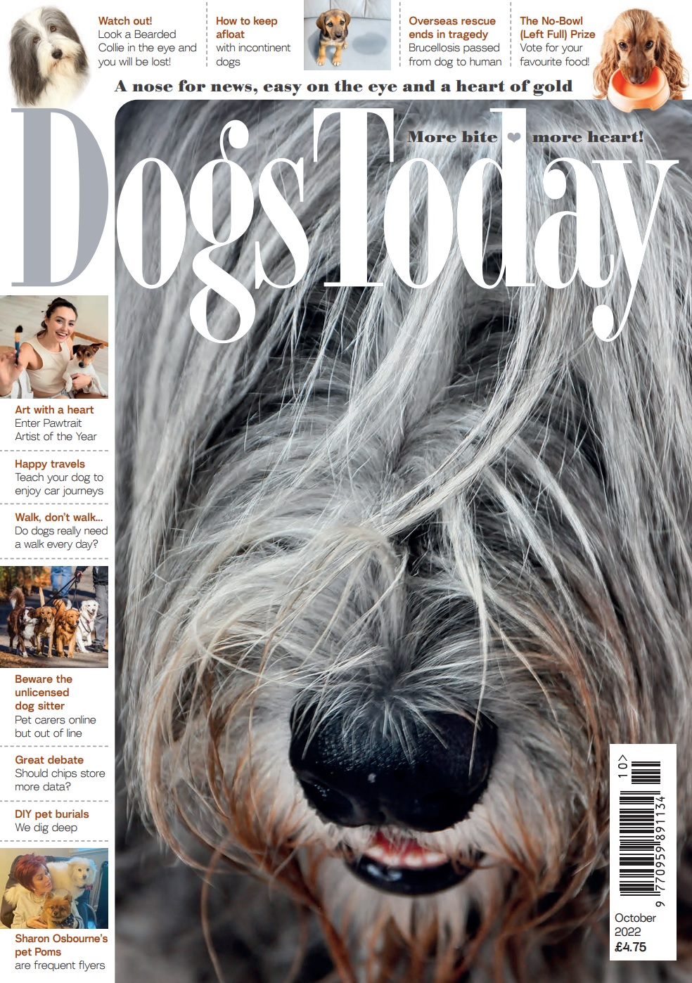Dogs Today Dogs Today Twitter