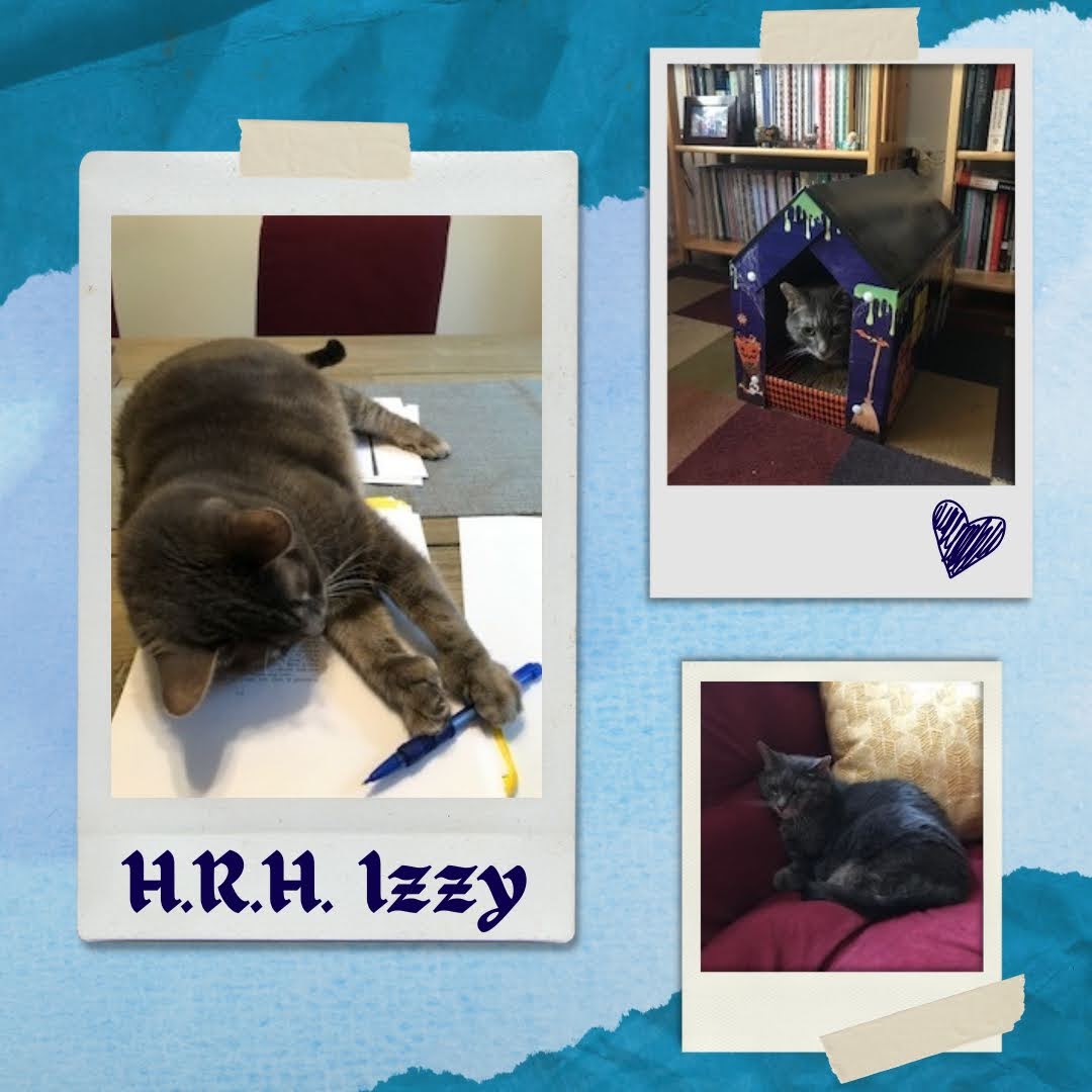 lurejournal's tweet photo. The #petsoflure are BACK!!! Introducing Her Royal Highness La Belle Isolde (a.k.a. Izzy) in various stages of supervising our LURe Journal supervisor, Dr. Haughtπβ¨οΈ https://t.co/ckaRSCgVl0
