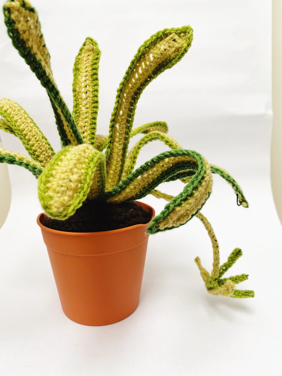 StylecraftYarn's tweet photo. Super-talented #Stylecraftblogstar Emma Varnam  has a fabulous new book out this month. Crocheted Houseplants features 25 designs that are perfect for the less green-fingered  of us. Here are just a few examples using Stylecraft Yarns. https://t.co/5PS1ZHHIZb