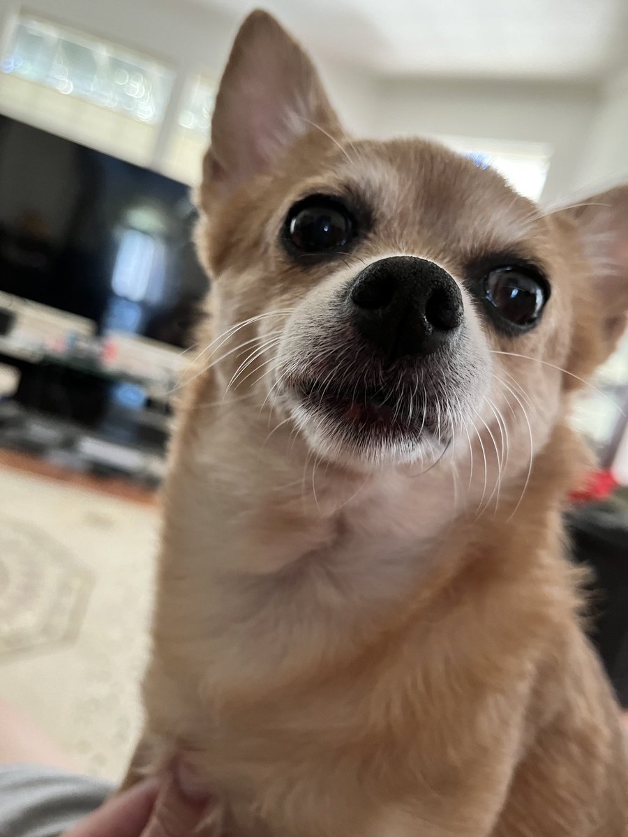 ContraBT's tweet image. 