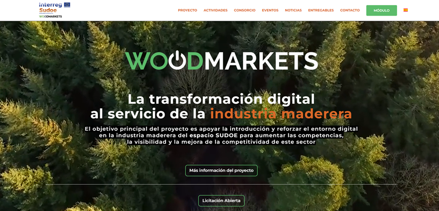Hoy ha tenido lugar la 13ª Reunion Virtual de socios internacionales del proyecto Interreg Sudoe “WOODMARKETS, WoodMarkets-Sudoe.com Nuevas herramientas y servicios para la digitalización de pymes del sector de la madera en el @Sudoe5 "