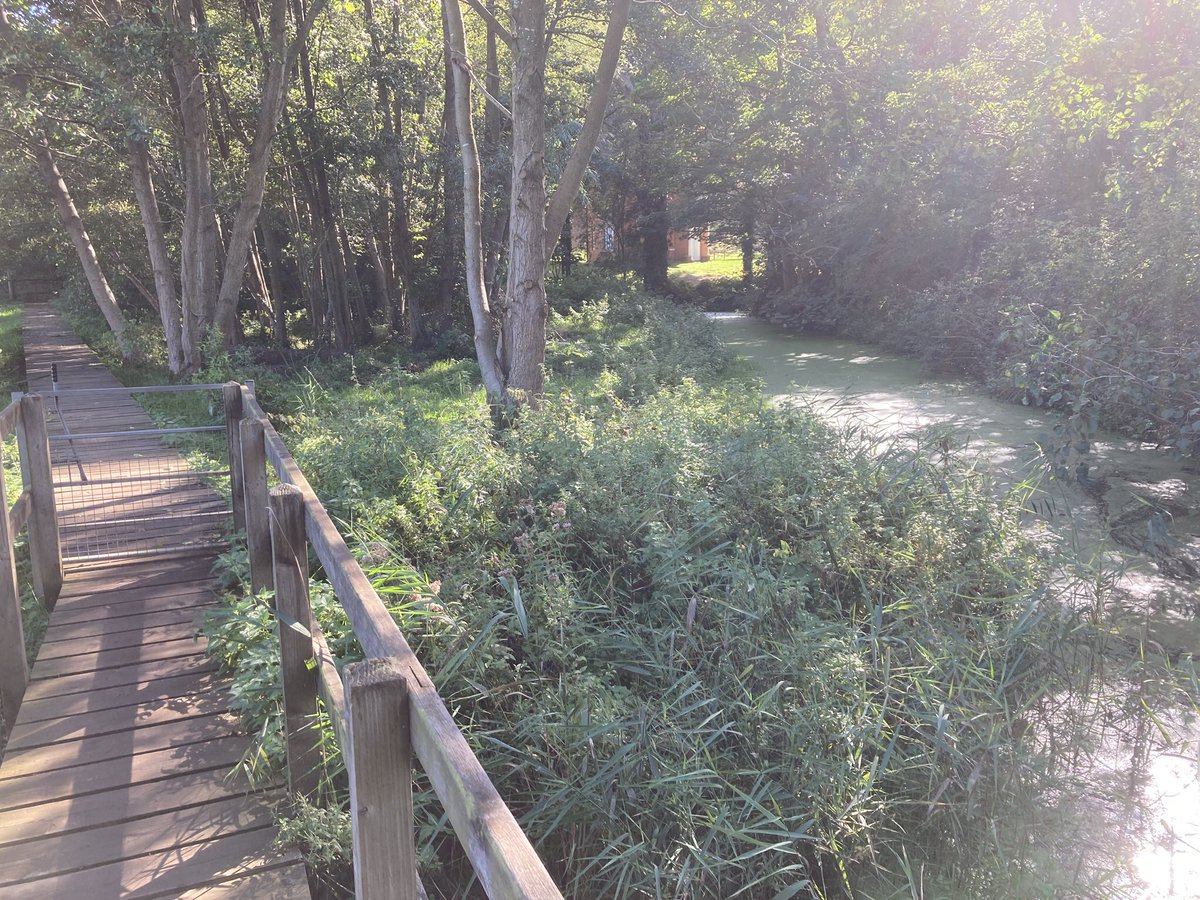 markeaves3's tweet photo. Day 12 - now done.  Great weather and lovely scenery.  Just 19km long but feeling a little weary now.  Really looking forward to walking with my sister - Kate - tomorrow from Chillesford to Bawdsey Quay. https://t.co/h06Gj5uQrY
