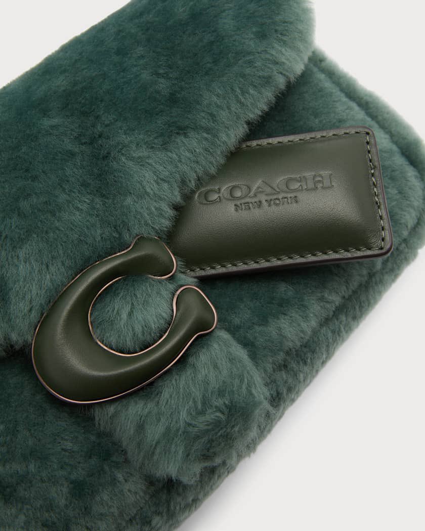 seangarrette's tweet photo. The new @Coach shearling pillow tabby in this color is gorgeous! The girls need it this fall. https://t.co/V6VZYjLieQ