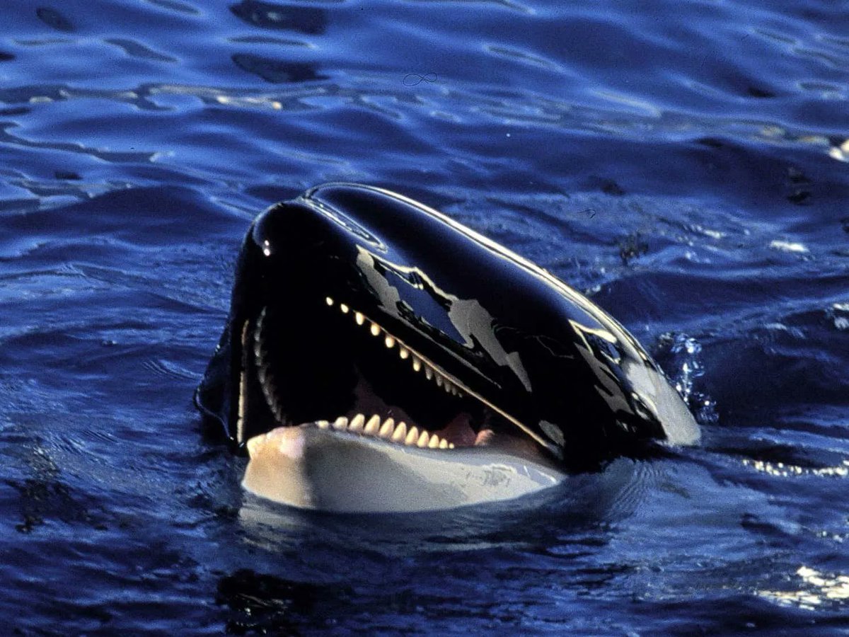 Barstool Sports tweet media