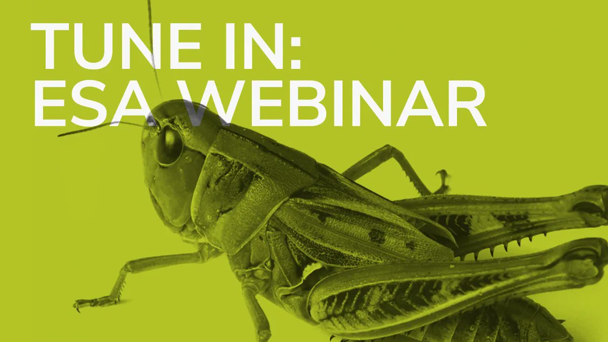 Entomological Society of America tweet media