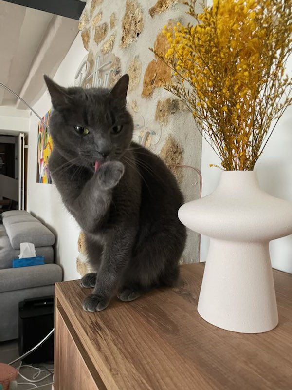 Benjamin Coenen 🇧🇪 🦀 tweet media