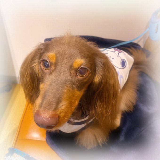 å°ãåã«ãåºããããæã®ã€ããð¶