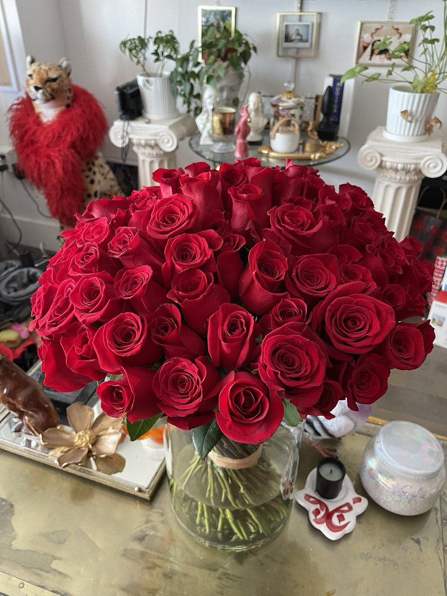 Connie Perignon 🌹 tweet media