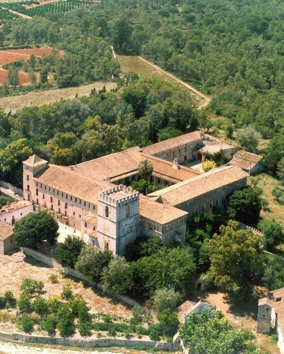 La Safor presenta autèntiques joies patrimonials d'interior -i de menys de 2000 habitants- no tan conegudes com Rafelcofer, l´Alqueria de la Comtessa, Alfauir o Castellonet de la Conquesta, entre altres.

📸1: Alfauir poble 
📸2: Monestir de Sant Jerònim de Cotalba (Alfauir)