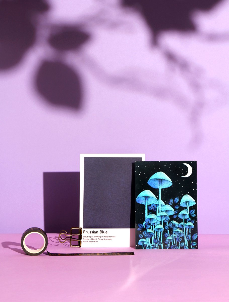 Calla Lily Stevenson • Product Photographer (@callastevenson) / Posts / X