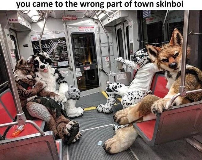 SoaraLan25's tweet photo. You hop on a train and you see furries sitting down, what would you do? https://t.co/11KD9bSpGU