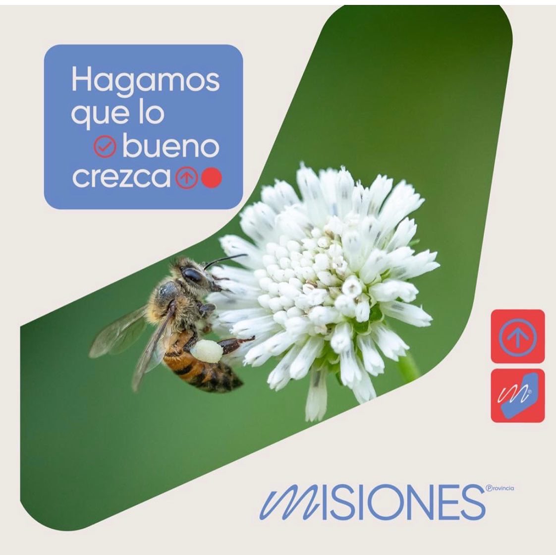 Oscar Herrera Ahuad tweet media