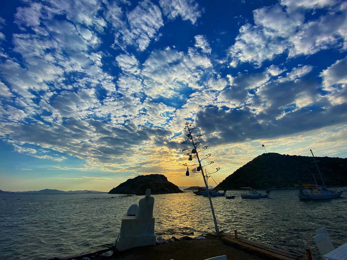 724_bodrum's tweet photo. "...Bir de bulutları görürsün
Köpürmüş gelen bulutları
Başka ne gelir elden?"
#YaşarKemal 
📸:denz6 
#Gümüşlük #Bodrum https://t.co/UhVadgkcfa