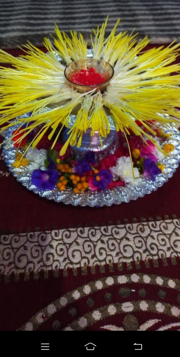 2079 bijaya dashami 🇳🇵
  jamara and tika ❤️