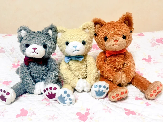 これはうちに来た時のネコチャン 