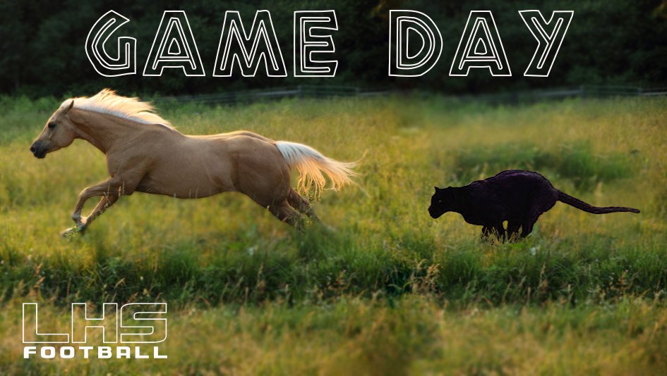 LHS_PanthersFB's tweet photo. LET'S GO!!! Districts start tonight, come pack the stadium for some Thursday Night Football down by the river! Kickoff is at 7pm, come cheer your Panthers to victory against the Thoroughbreds.
#panthers22 #togetherweprowl #ittakesacommunity #1-0 #seeyouatthepanther #beatncc https://t.co/jLWN1WcymY