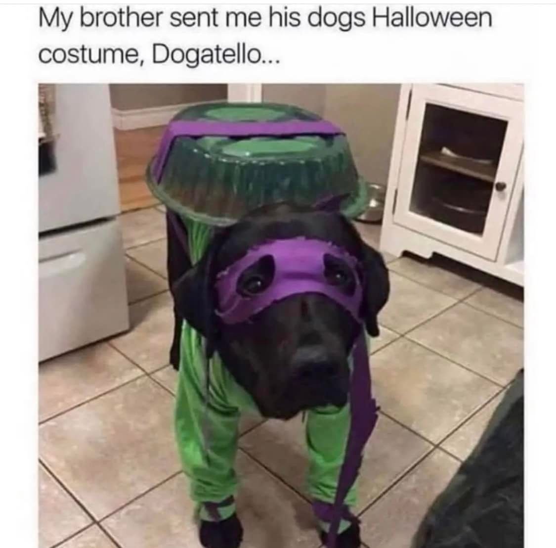 WholesomeMemes tweet media