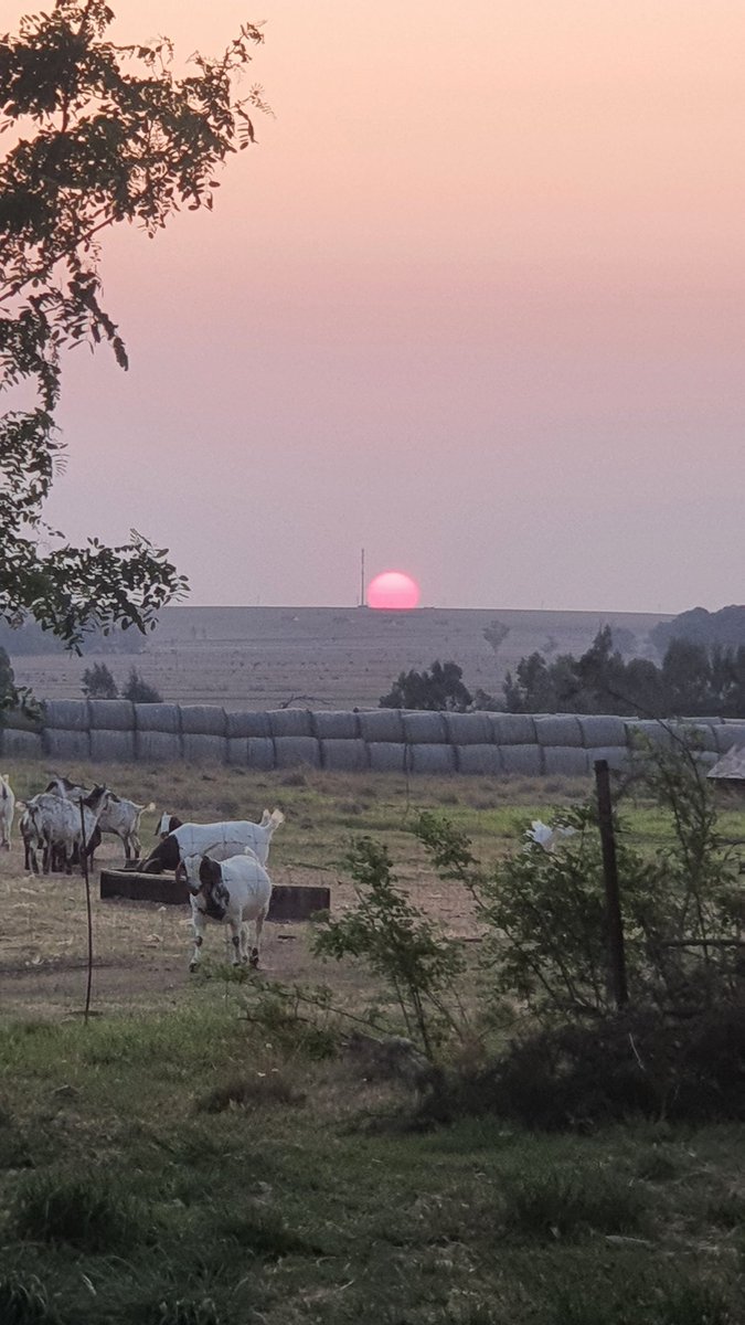 En daar sak die son weer mooi aand vir almal 🤩😍😘