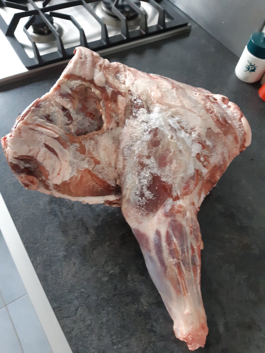 PascalNerbesson's tweet photo. Avoir de bonnes relations avec les #chasseurs du coin, ça compte. Même s'ils t'obligent à remonter "urgemment" chez toi en plein taf, c que ça en vt la peine😅 🤤 #Sanglier
#EtOnMettraLesCochonsLesCohonsDansLeCongel #Grouik #WinterIsComing #ChassePartage #IlsChassentOnSeRegale https://t.co/uobdAYaIMj