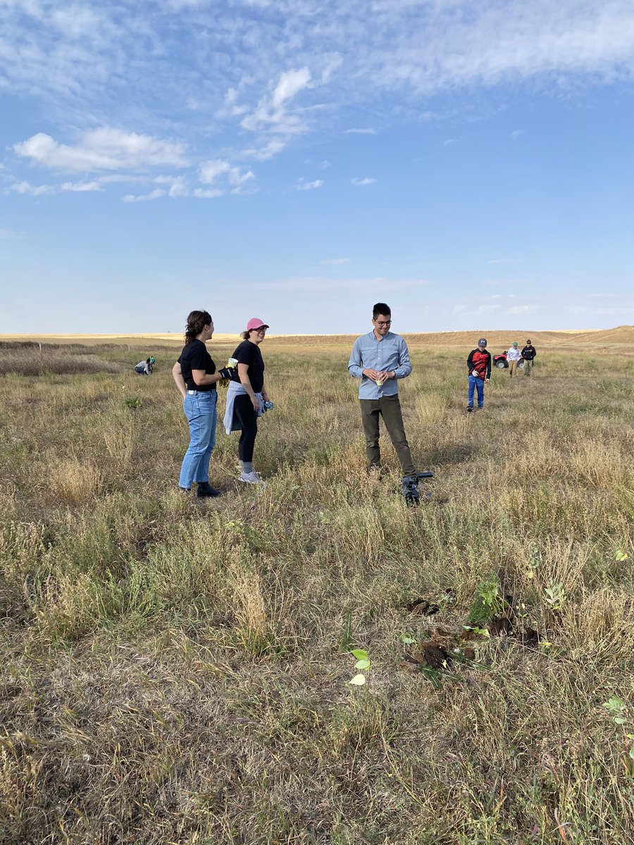 Beyond Agronomy (@beyondagronomy) on Twitter photo Just wanted to thank <a href="/RDRWA/">RD River Watershed</a>, AWES, <a href="/KneehillCounty/">Kneehill County</a> for supporting our watershed rehabilitation and really cool pollinator habitat project. 2000 flowering tree seedlings and soon 30 legume species will all provide forage for bees and beneficial insects from Apr-Oct. Just wanted to thank <a href="/RDRWA/">RD River Watershed</a>, AWES, <a href="/KneehillCounty/">Kneehill County</a> for supporting our watershed rehabilitation and really cool pollinator habitat project. 2000 flowering tree seedlings and soon 30 legume species will all provide forage for bees and beneficial insects from Apr-Oct.