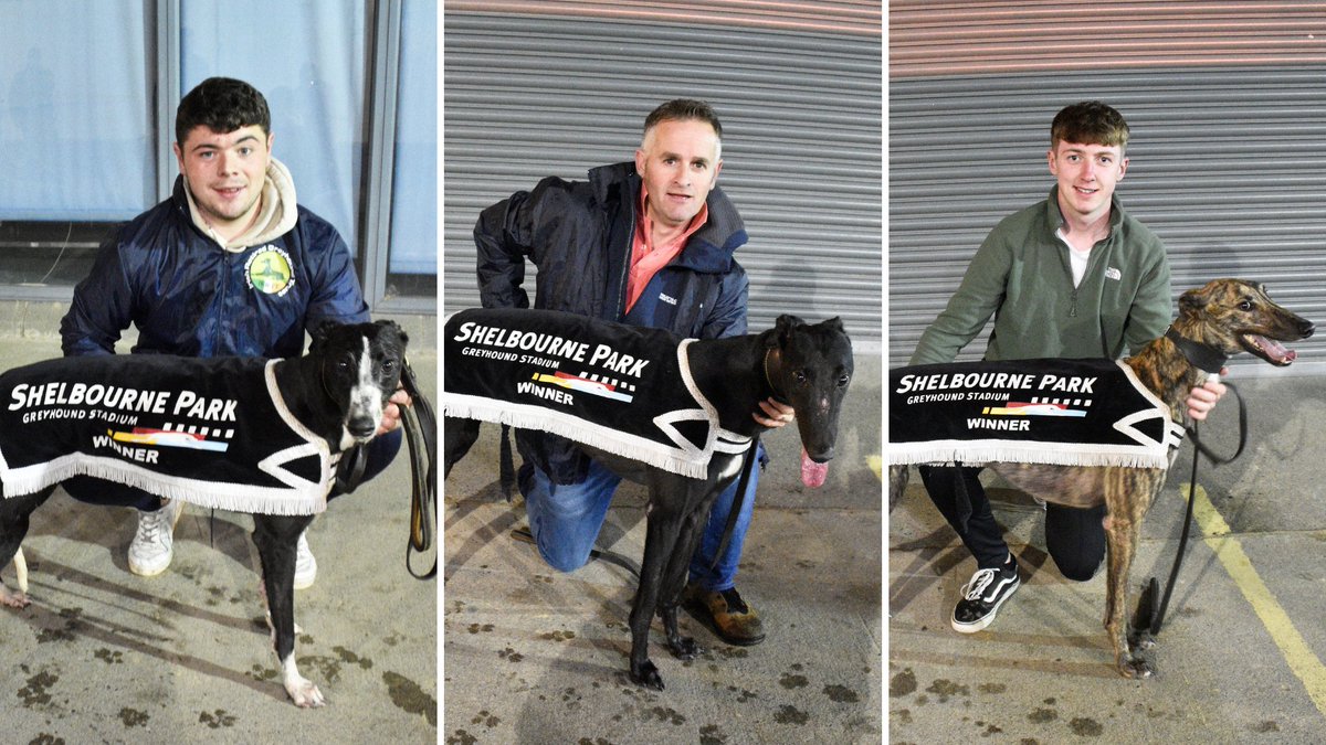 shelbournepark's tweet photo. There will be plenty of interest in proceedings this evening as the RCETS ON1/ON2 Series drawn to a conclusion.

There are two finals in all with both featuring many talented young trackers.

@IanFortune previews: https://t.co/r665G4wsKn

#ThisRunsDeep #GoGreyhoundRacing https://t.co/0HvA8BJ1bO