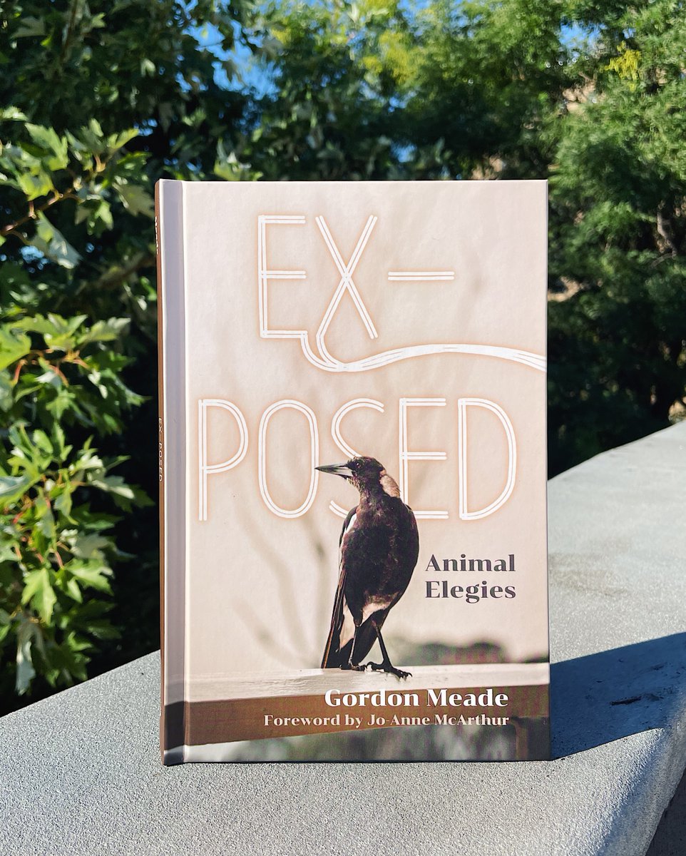 Lantern Publishing & Media tweet media