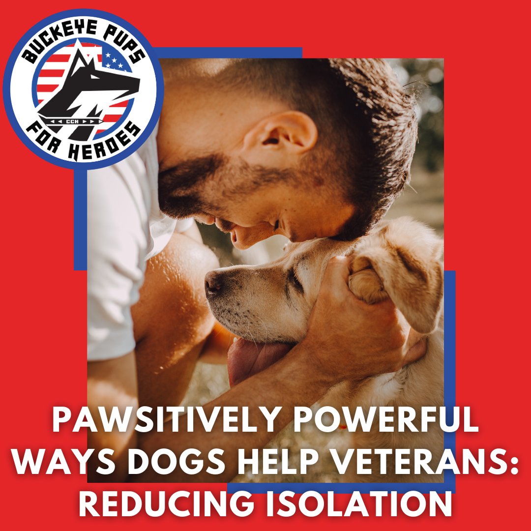 PupsBuckeye's tweet photo. Many #veterans report a high degree of isolation when they return home. Having a #dog encourages social activity and reintegration into society.
 
Dogs can be an instant conversation starter with others. Very few people can resist the charm of dogs and their adorable ways. 🐶 https://t.co/eCAbKQB3fz