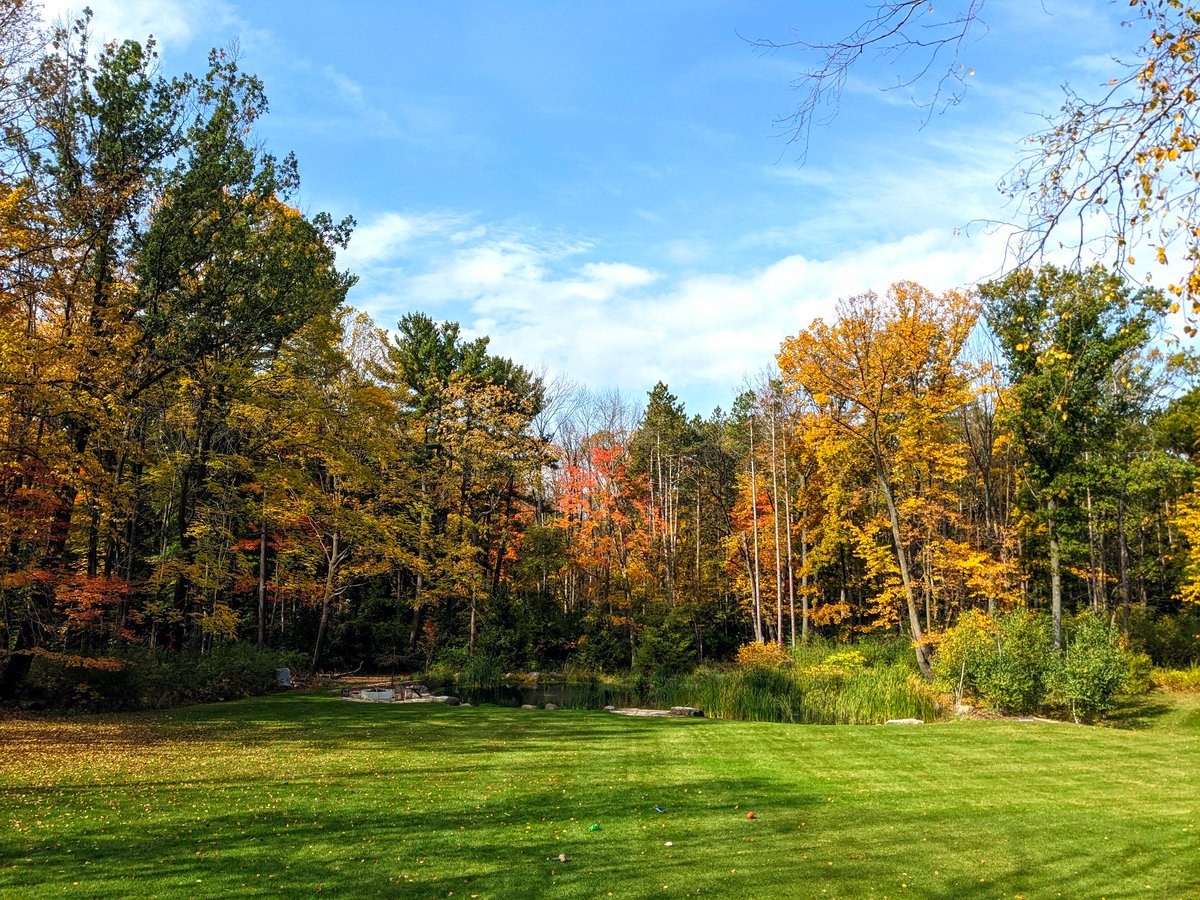 While our backyard trees turn all the pretty fall colors, the October #SWDchallenge focuses on a different kind of tree. Find some data that suits, then create &amp; share a TREEMAP (or peruse those already shared!): community.storytellingwithdata.com/challenges/oct… #dataviz