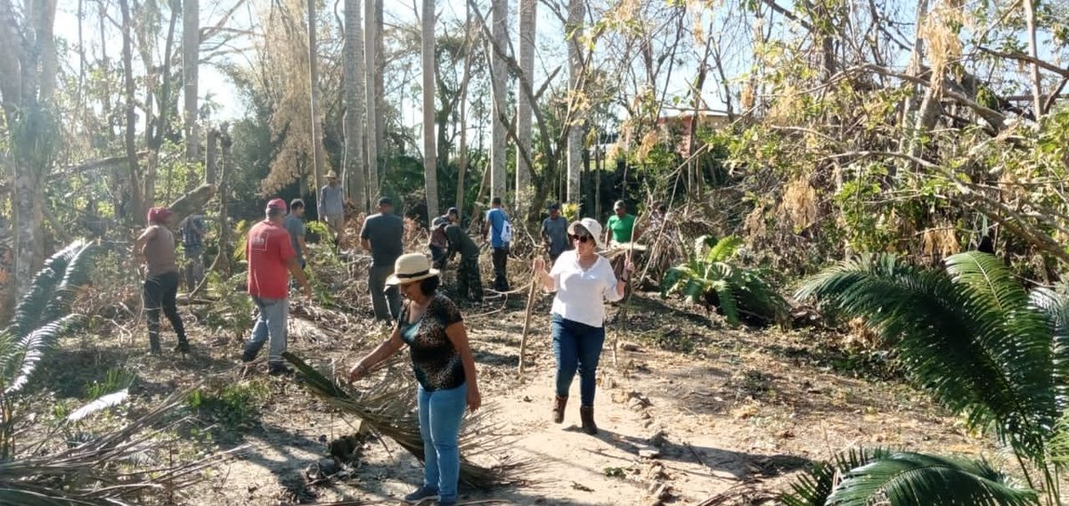 Ecovida_Pinar's tweet photo. 👉Con el apoyo 💪de la @AMA_CUBA  y de trabajadores de centros de estudios ambientales de #Cuba 🇨🇺 avanzan acciones de recuperación 
en el  Jardin Botànico de #PinardelRio tras paso de huracàn Ian. https://t.co/PHxgSv28lp