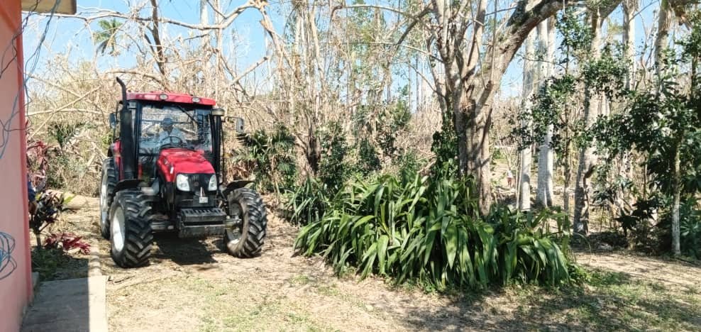 👉Con el apoyo 💪de la <a href="/AMA_CUBA/">AMACuba</a>  y de trabajadores de centros de estudios ambientales de #Cuba 🇨🇺 avanzan acciones de recuperación 
en el  Jardin Botànico de #PinardelRio tras paso de huracàn Ian.