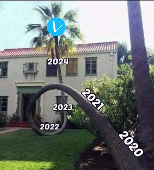 𝕍ETlieber 🐐 tweet media