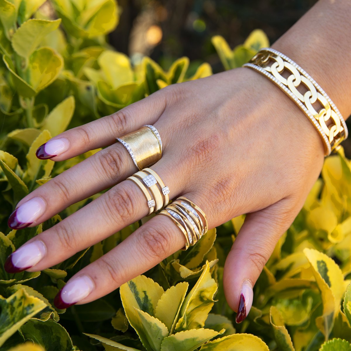 BernieRobbins's tweet photo. Autumn weather goes better with Italian jewelry from Marco Bicego &amp; @RobertoCoin1 

Shop these looks and more in stores or online via the link below

https://t.co/tKWjDtRNIl

https://t.co/bs6pUkniBr https://t.co/32Vw0CPpgM