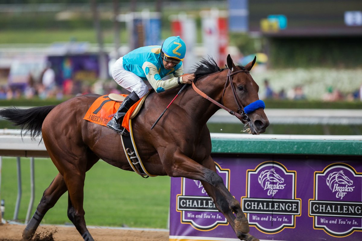 EclipseSports's tweet photo. Throwback to AMERICAN PHAROAH and jockey Victor Espinoza winning the 2014 Front Runner Stakes @santaanitapark. 

The Front Runner was renamed for racing's 12th Triple Crown winner in 2018. 

📷 @HimawariKaz https://t.co/okdm5Hq71V