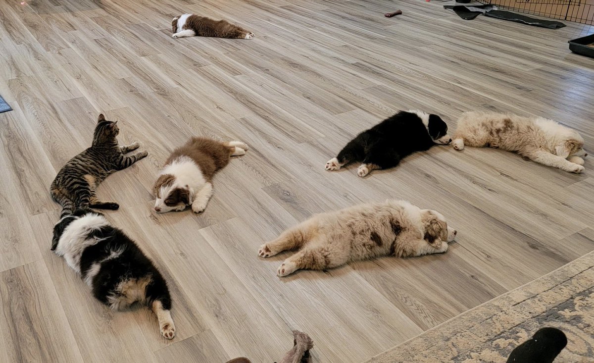 One of these things is not like the others